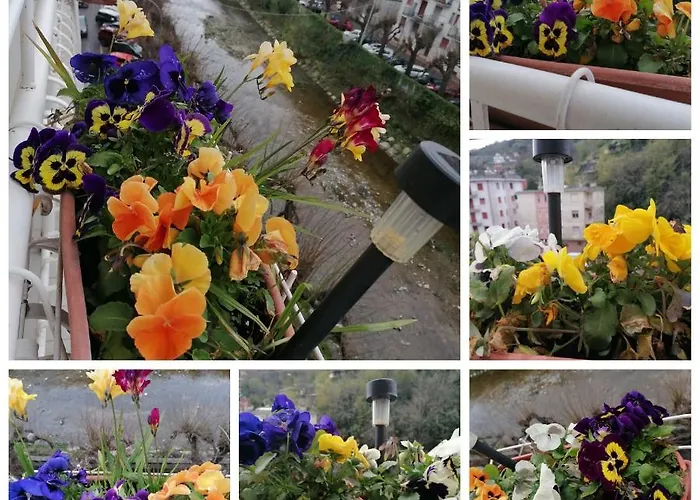 La Conchiglia, Air Conditioning, Parking